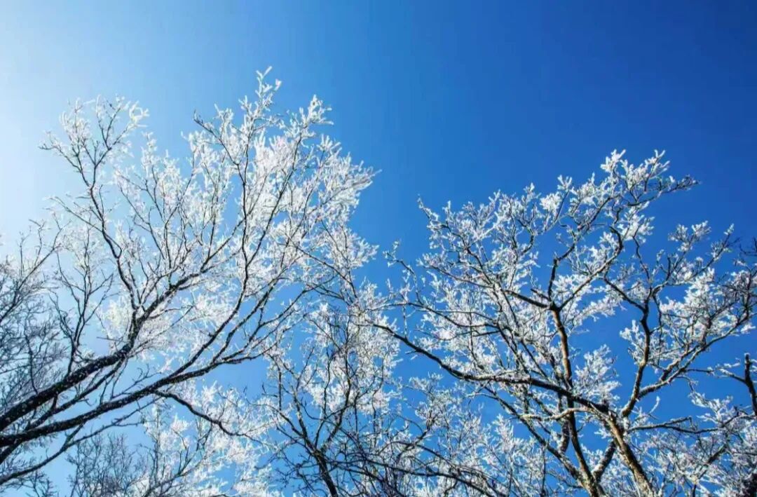 1767925100942923 undefined