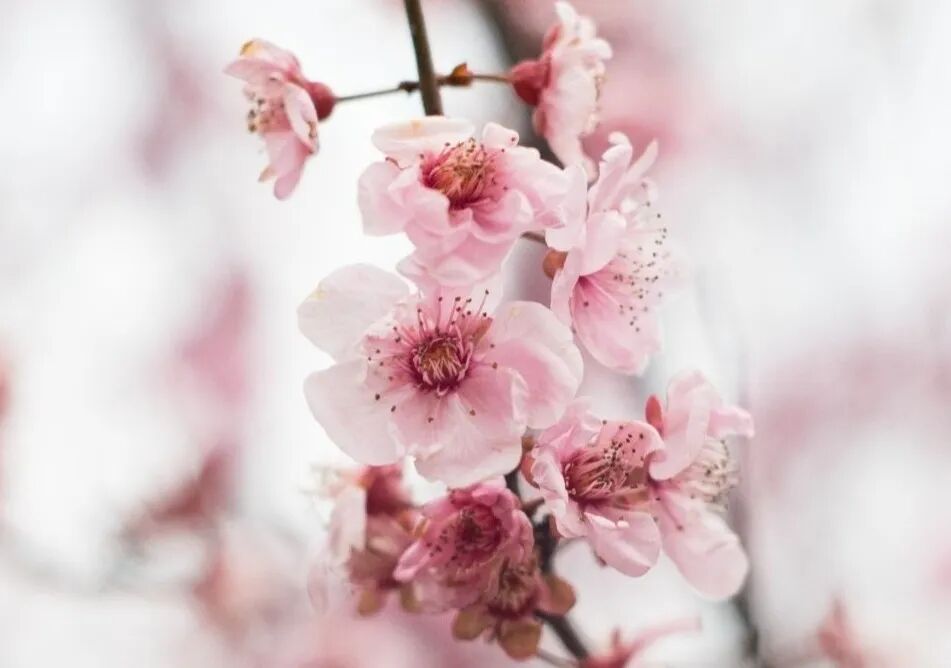 1767925090860049 undefined